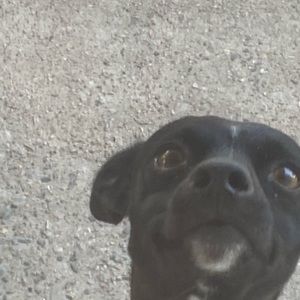 Meet your Posher, Ruby